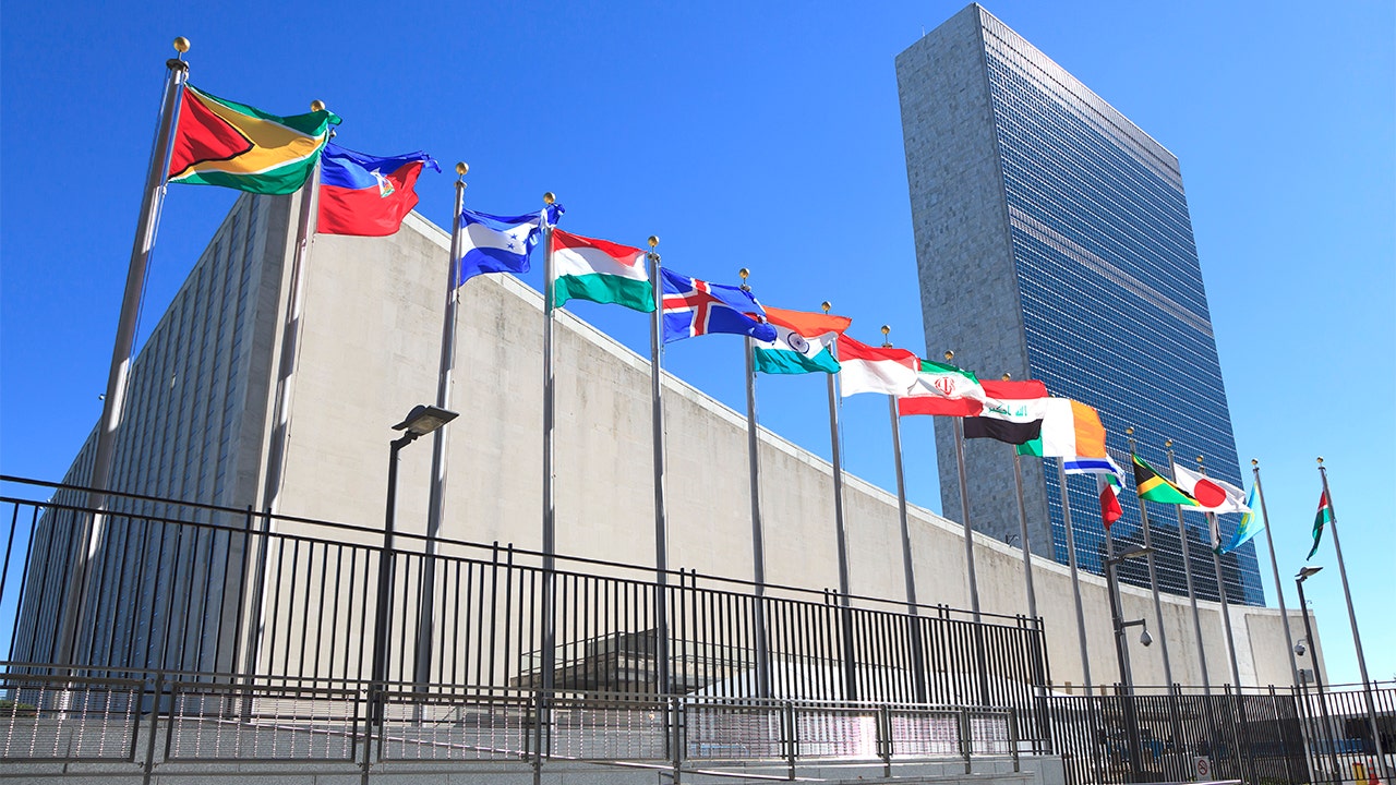 United Nations forum pushes for extra funding into reparations progress: ‘Back up your words with action’ [Video]