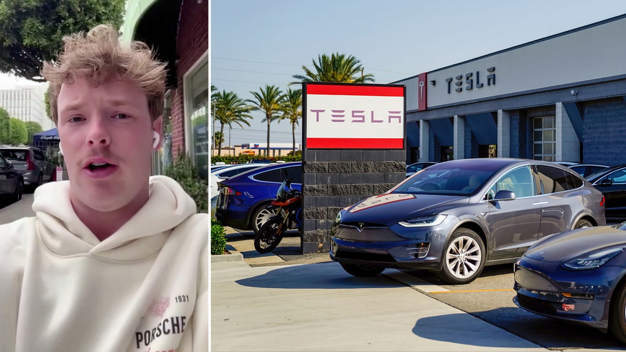 TikTok star deserted by Tesla unveils ‘root of the problem’ with EVs [Video]