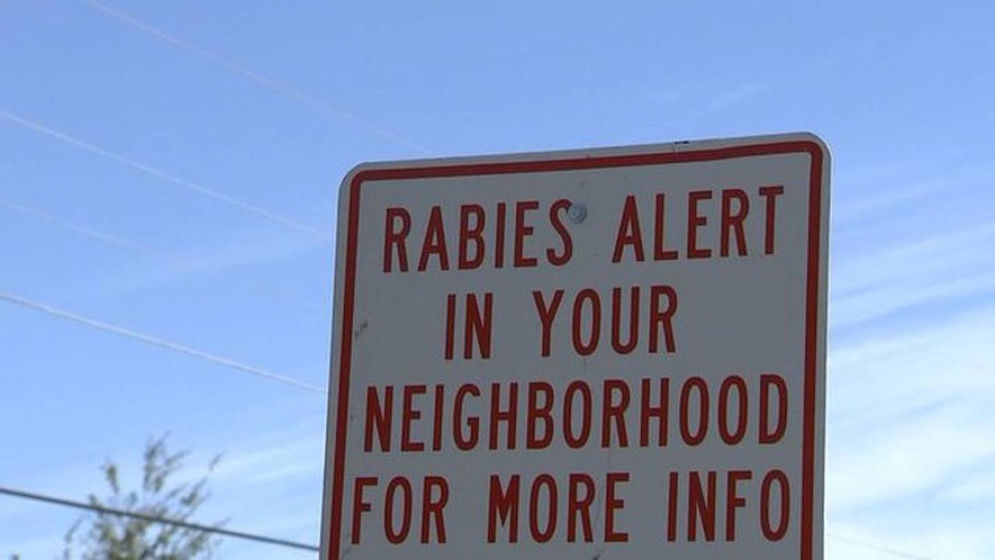 Rabies alert issued for parts of Brevard County, Dept. of Health says  WFTV [Video]