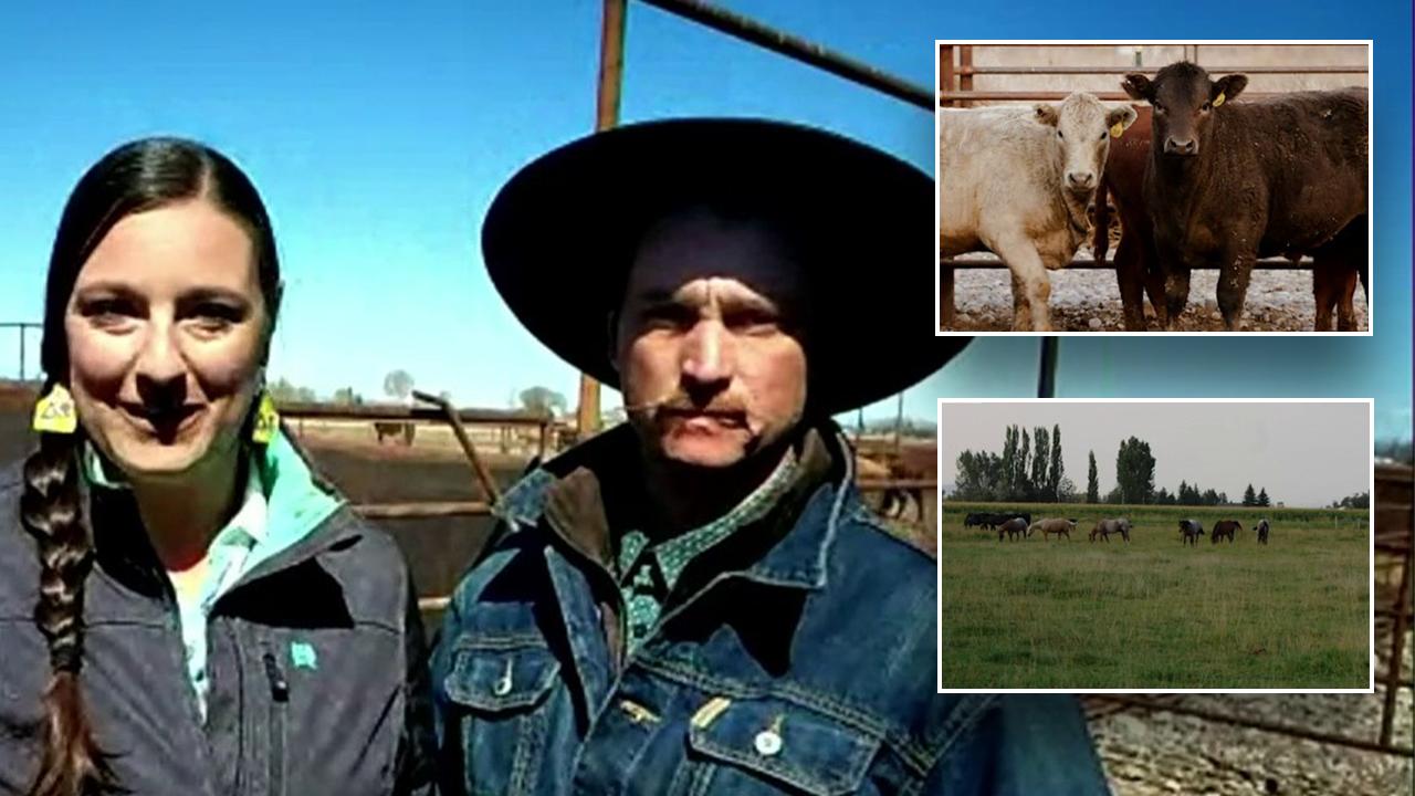 First generation ranchers struggle to stay afloat under weight of inflation: ‘It’s very challenging’ [Video]