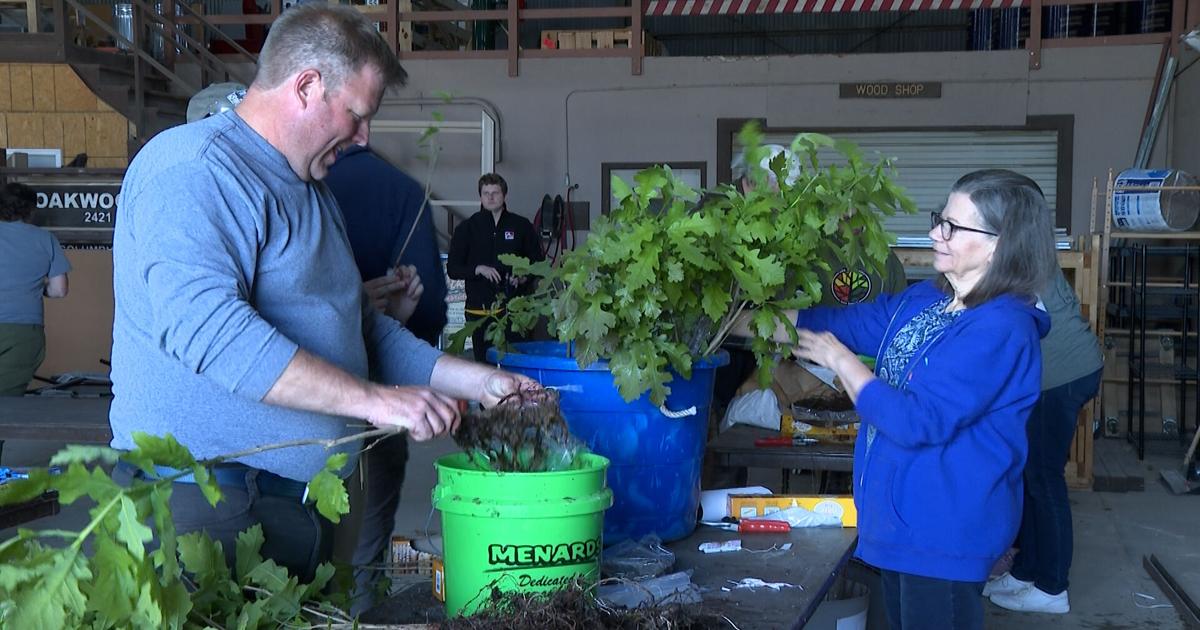 Columbia’s Arbor Day celebration begins with tree giveaway | Mid-Missouri News [Video]