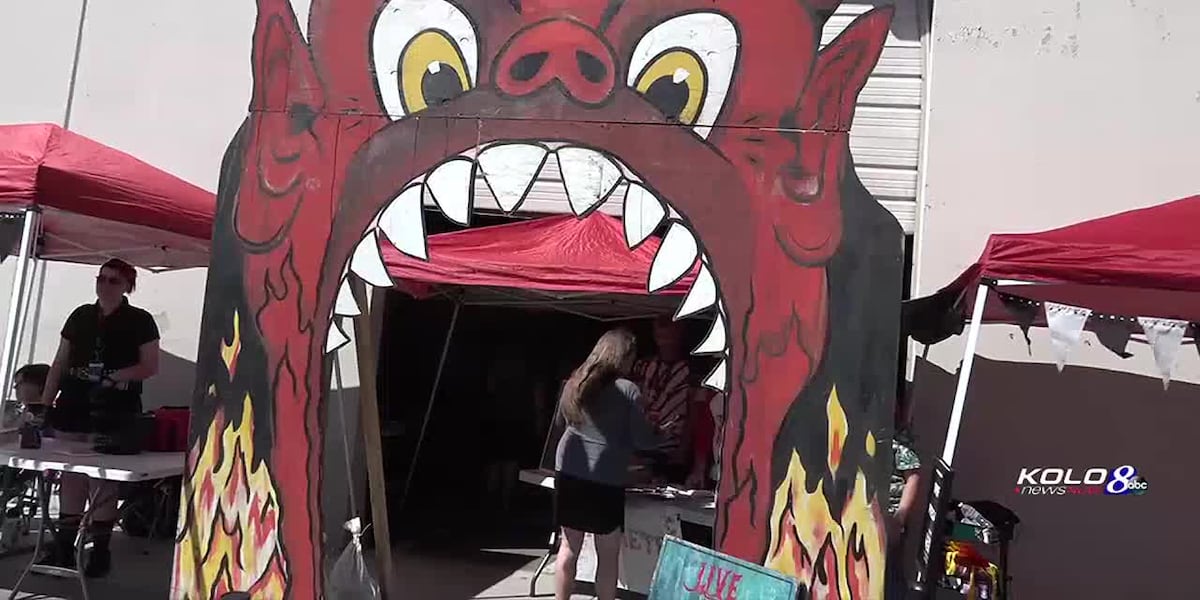 Reno Punk Rock Flea Market [Video]