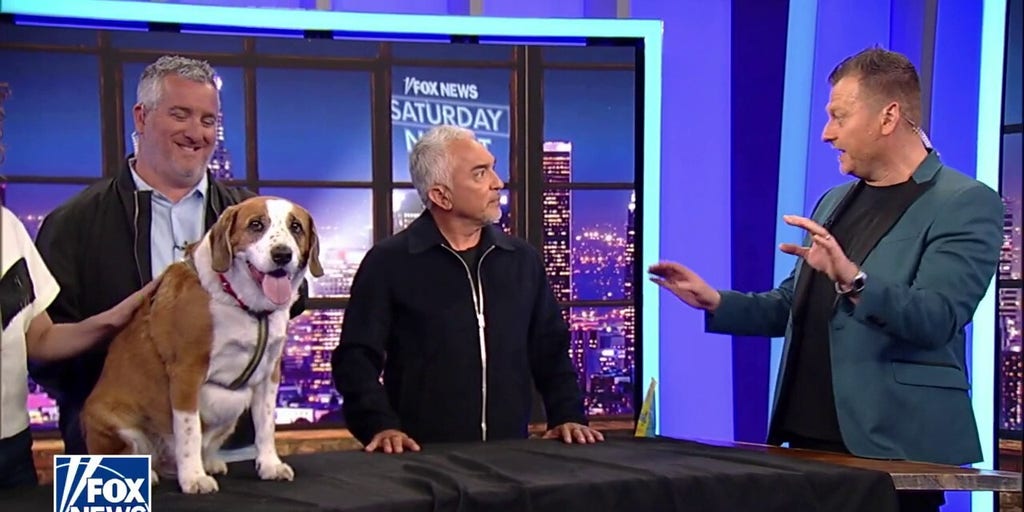 ‘Dog Whisperer’ reveals what makes pups tick [Video]