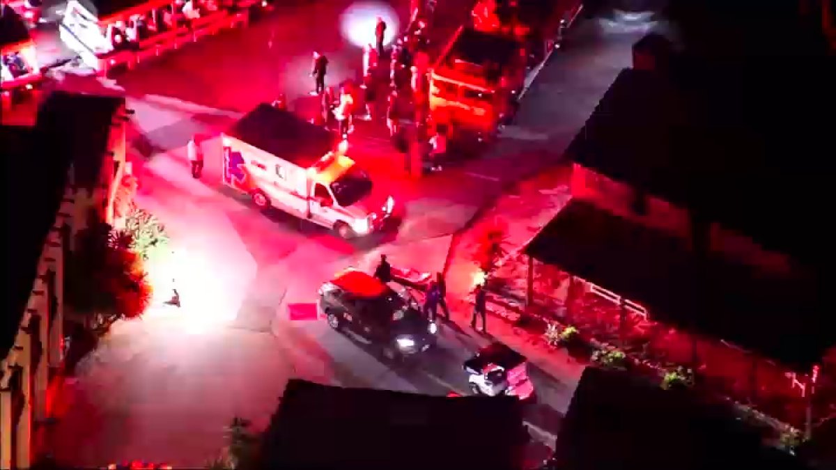 15 people injured in crash involving tram at Universal Studios  NBC10 Philadelphia [Video]