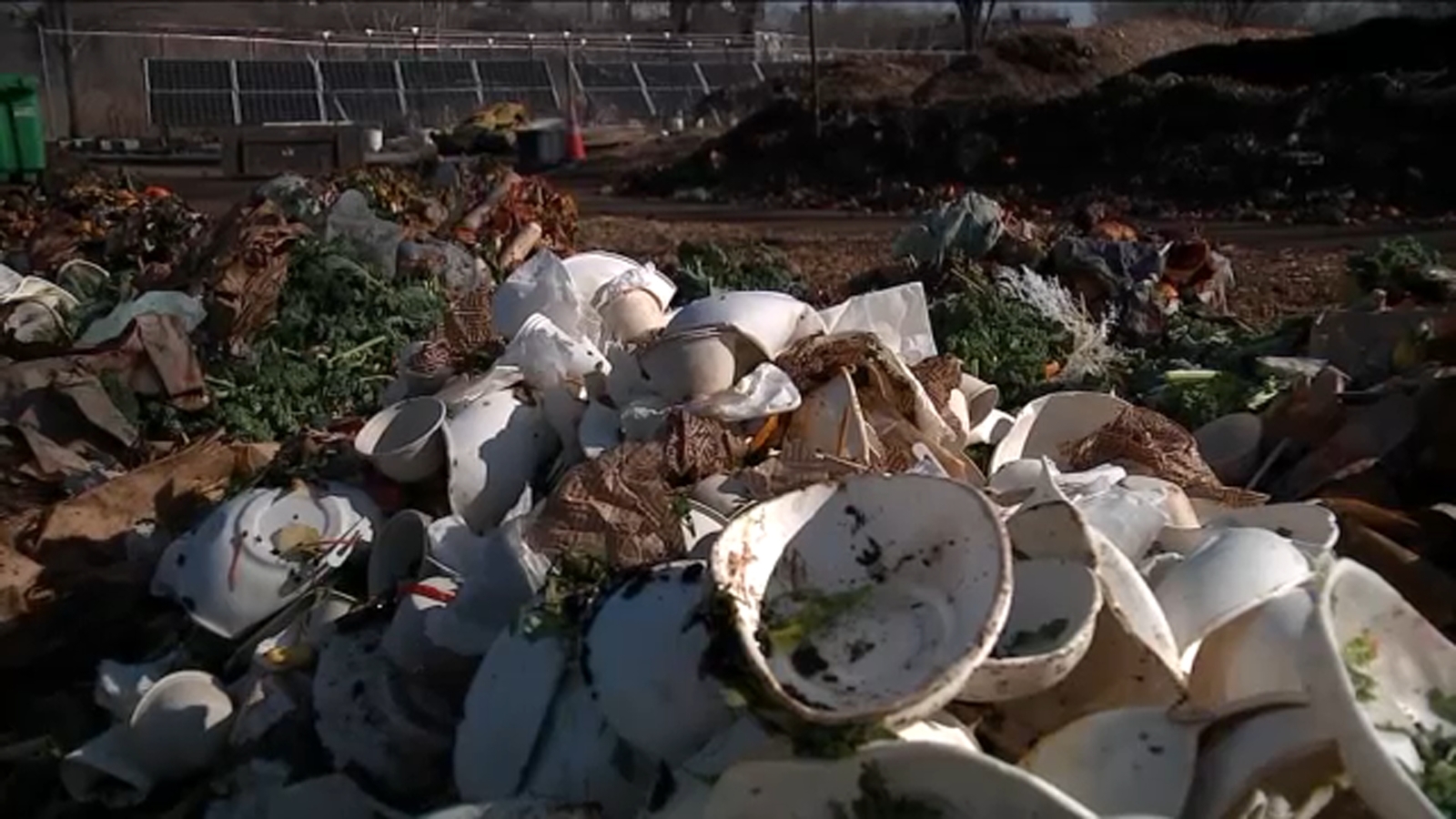 Composting Cut: Program teaching how to compost cut from New York City budget, as compost numbers ‘poor,’ says report [Video]