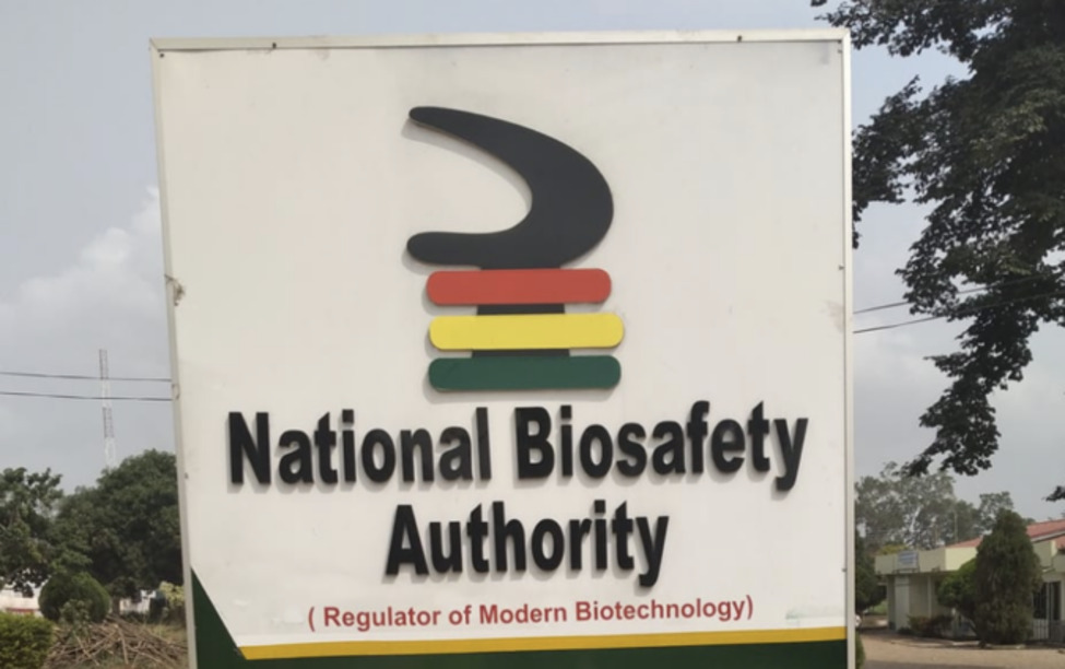 National Biosafety Authority urged to step up its communication efforts on GMOs [Video]