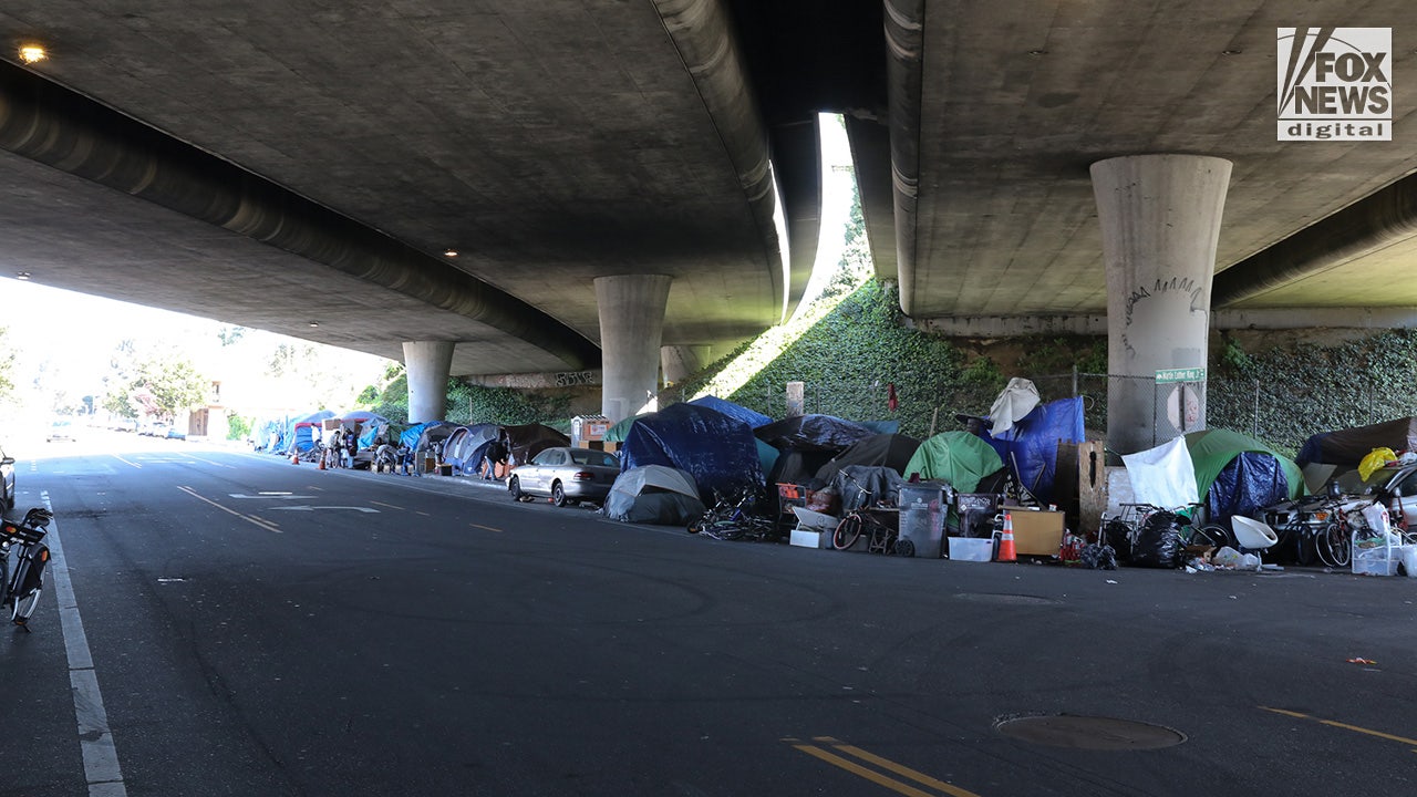 Supreme Court can fix the homeless crisis that the government caused [Video]