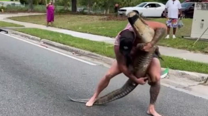 Barefoot Florida man wrangles alligator in residential neighbourhood | Lifestyle [Video]