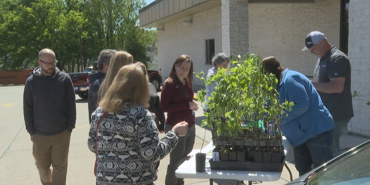 Mon Power celebrates Earth Day with a tree giveaway [Video]
