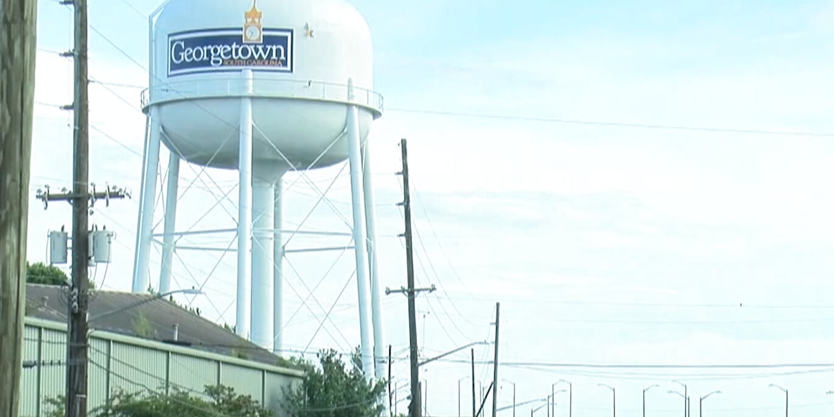 Georgetown Co. to hold needs assessment on public safety, economic development [Video]