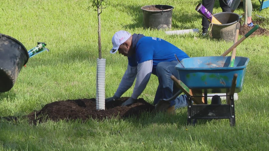 AES Indiana giving Hoosiers free tree saplings for Arbor Day [Video]