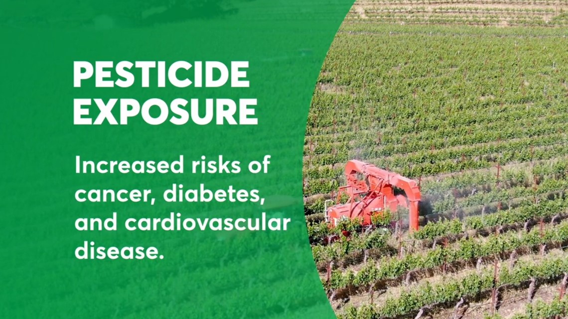 Harmful pesticides on your fruits & veggies: Minimize exposure [Video]