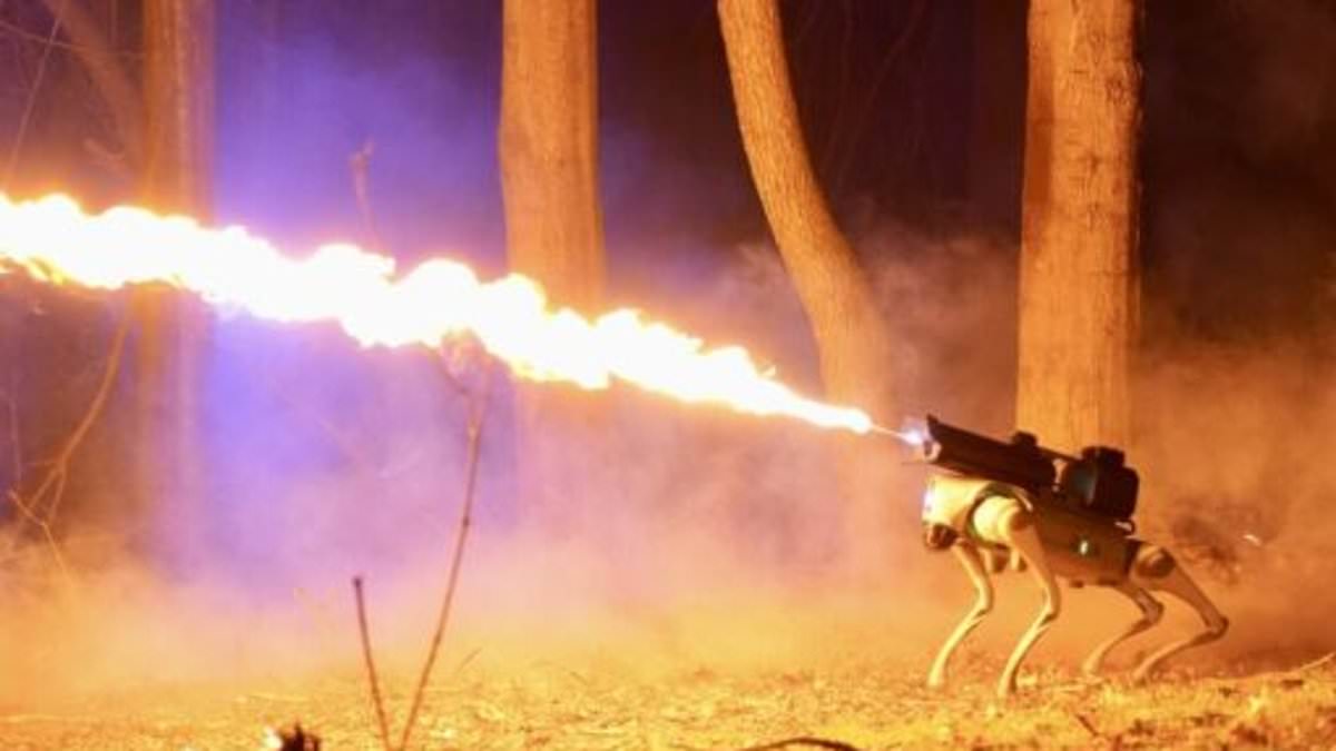 Meet the Thermonator: First ever flamethrowing robot dog that shoots jets of fire up to 30 feet hits US market [Video]