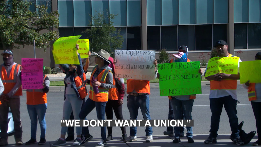 UFW, Wonderful Nurseries meet for first hearing, address allegations of farmworkers being tricked into unionizing [Video]