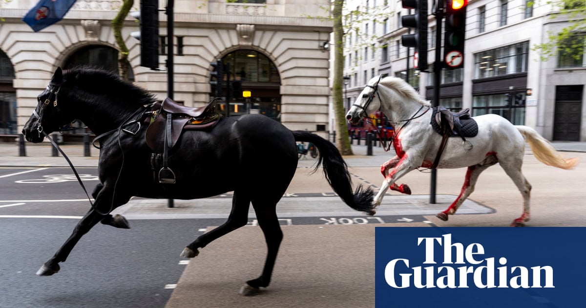 Multiple people injured as four horses escape into London causing chaos  video report | UK news