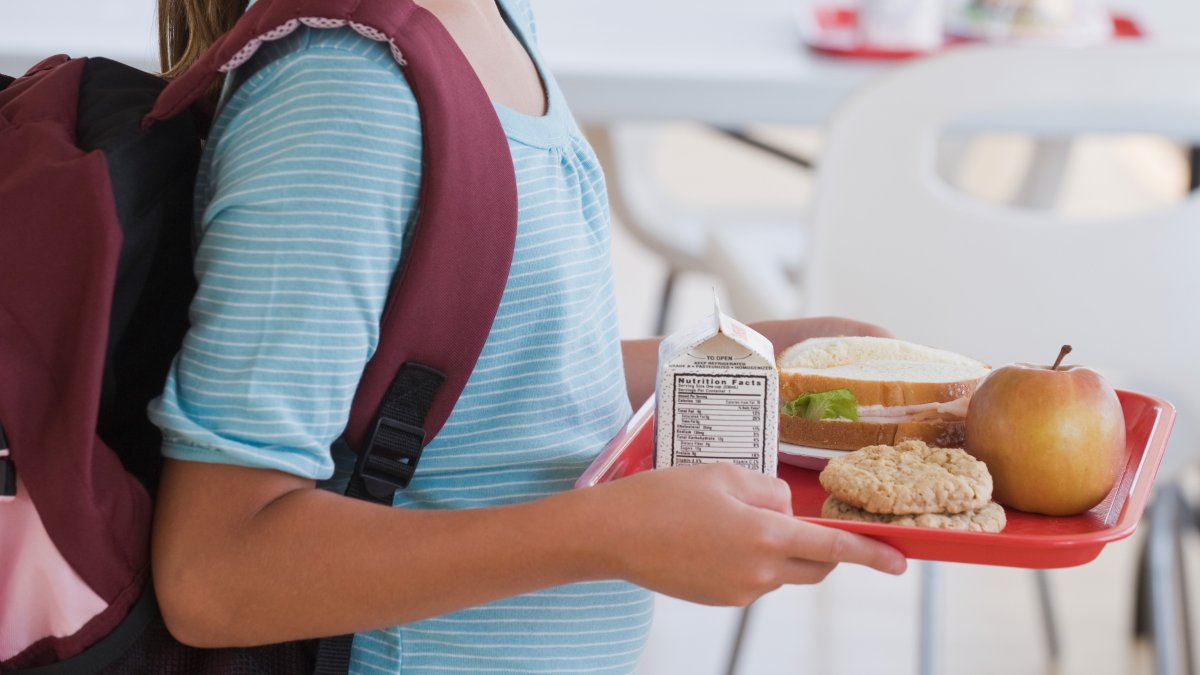 USDA sets new school meal standards limiting added sugars, sodium  NBC Bay Area [Video]