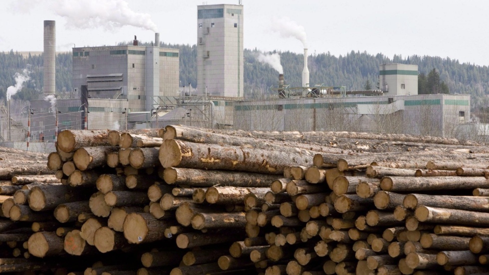 West Fraser Timber earnings – Video