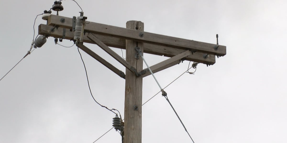 Update: Power outages in southeastern South Dakota caused by animal contact [Video]