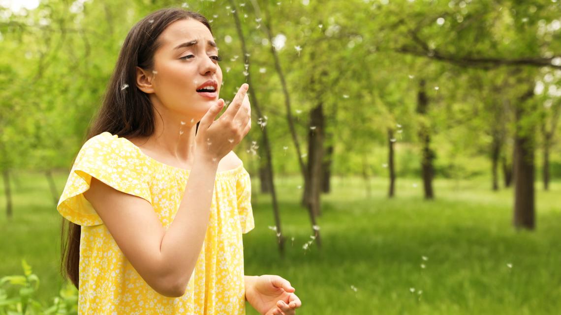 Debunking pollen and seasonal allergy myths: VERIFY fast facts [Video]