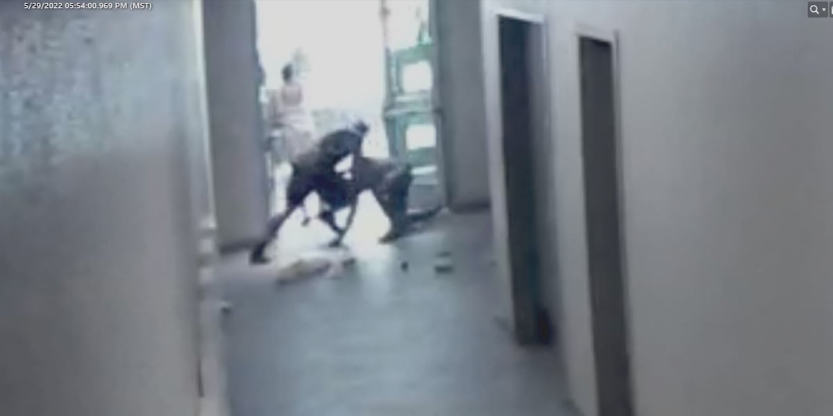 Shocking video shows security guard stab Phoenix hotel guest