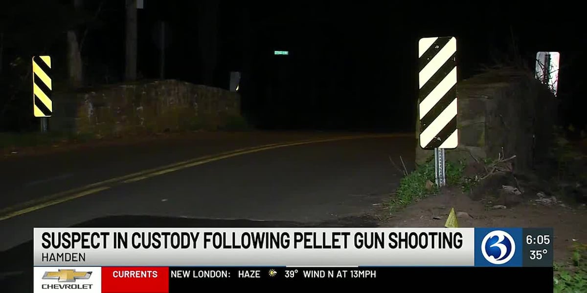 Man fired pellet gun at 2 people, responding officers in Hamden, police say [Video]