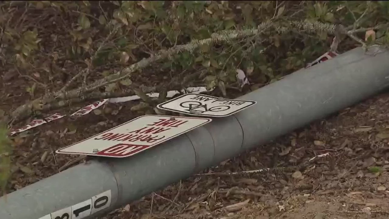 Family of four killed in Pleasanton crash [Video]