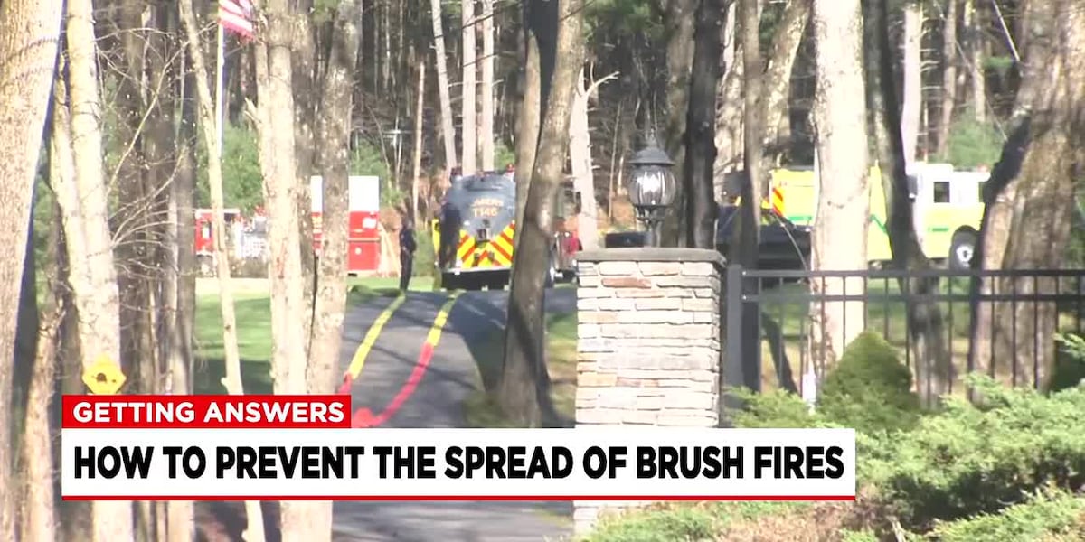 Dry, windy weather creates high chances for brush fires [Video]
