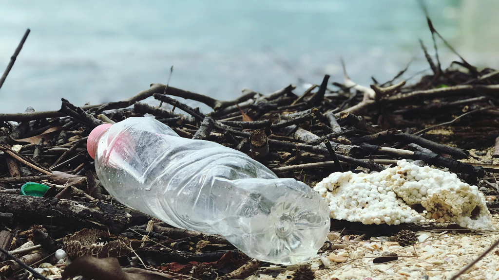Why Southeast Asia is drowning in imported plastic waste [Video]