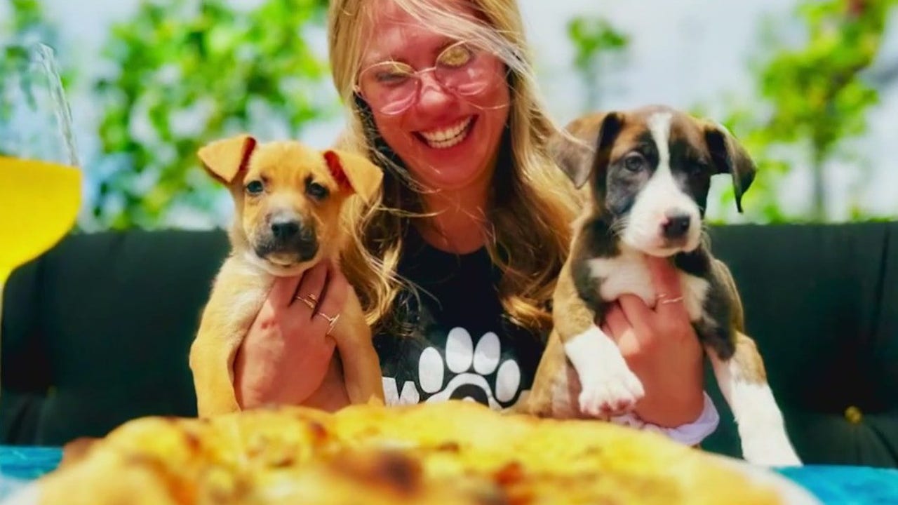 Phoenix business fuses puppy rescue with pizza joint [Video]
