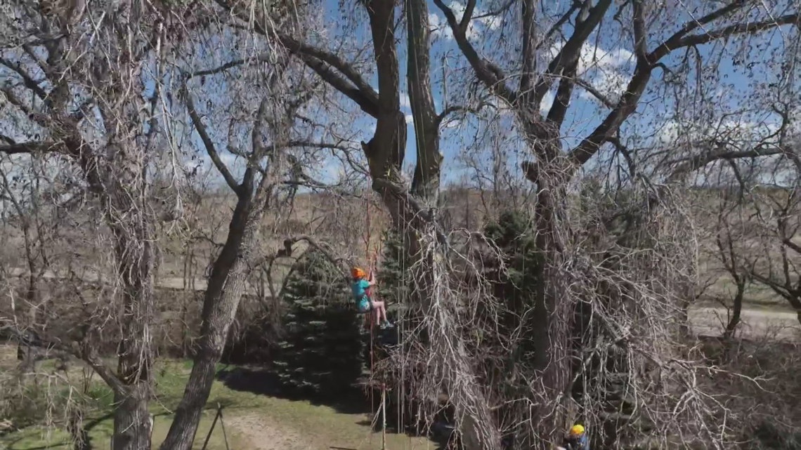 Tree climbing company hopes to take people’s perspectives to new heights [Video]