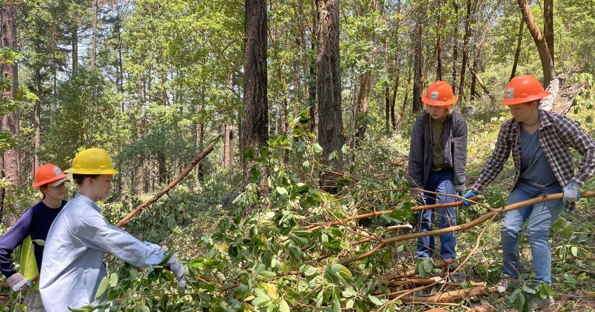 Ashland organization provides opportunity for youth to work on ecological restoration | Community [Video]