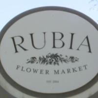 Rubia Flower Market reopens in a new location | Local [Video]