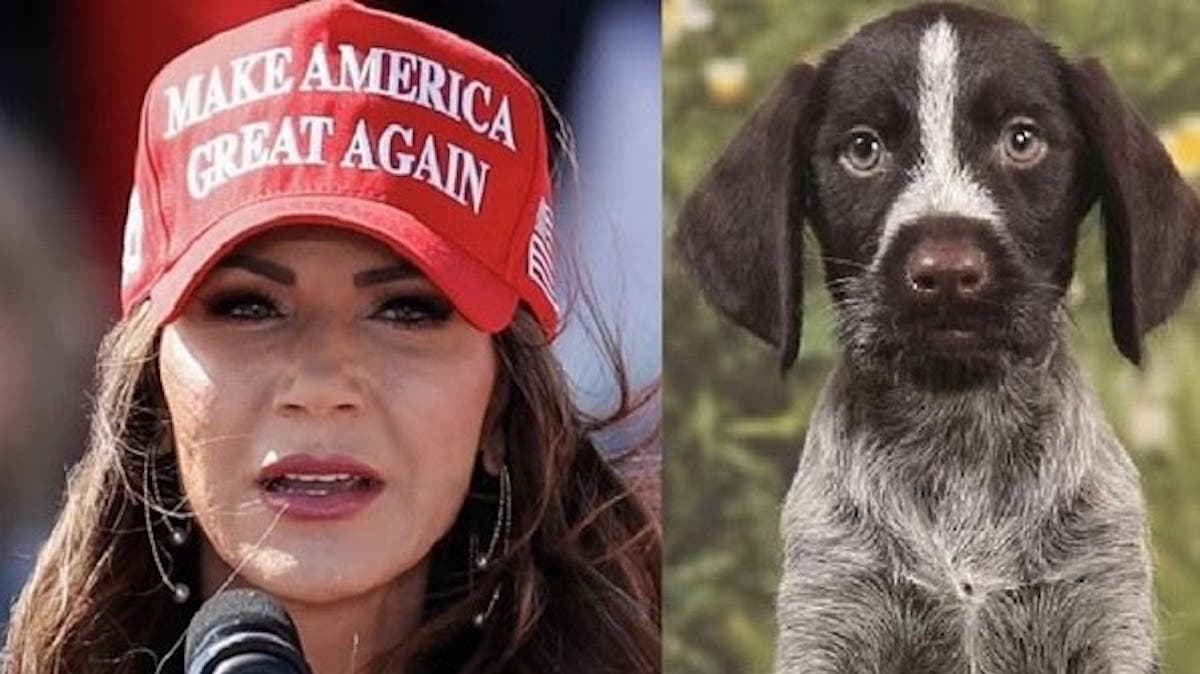Kristi Noem tries  and fails  to excuse her puppy-killing ways [Video]