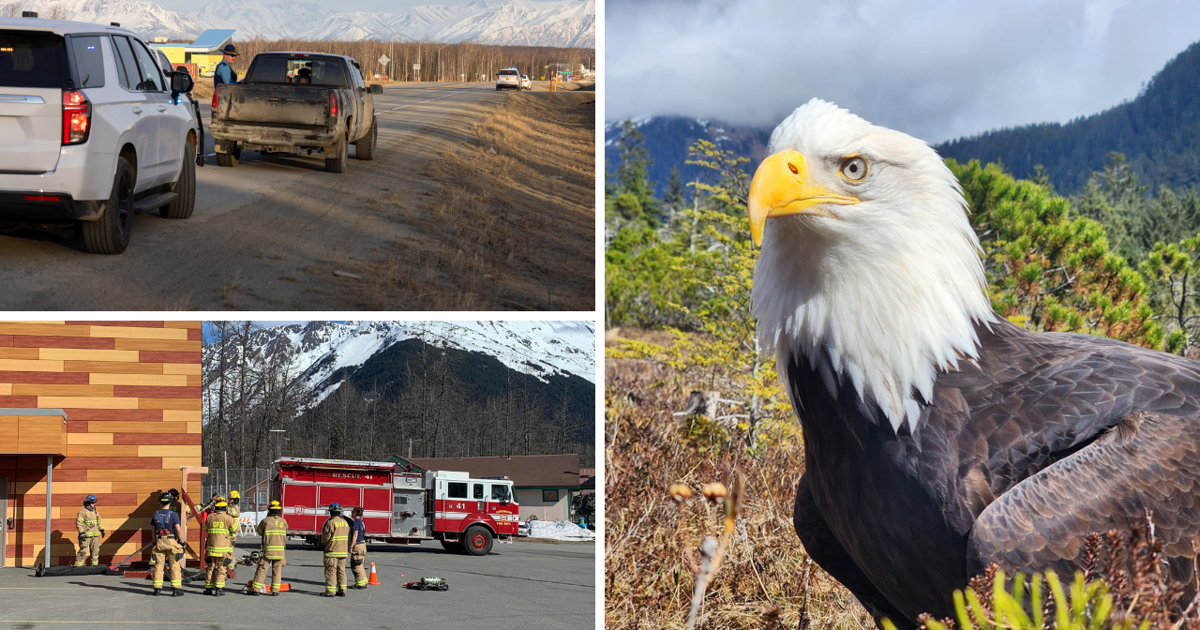 AROUND ALASKA: Slow Down, Firefighter Training, and Raptors! | Around Alaska [Video]