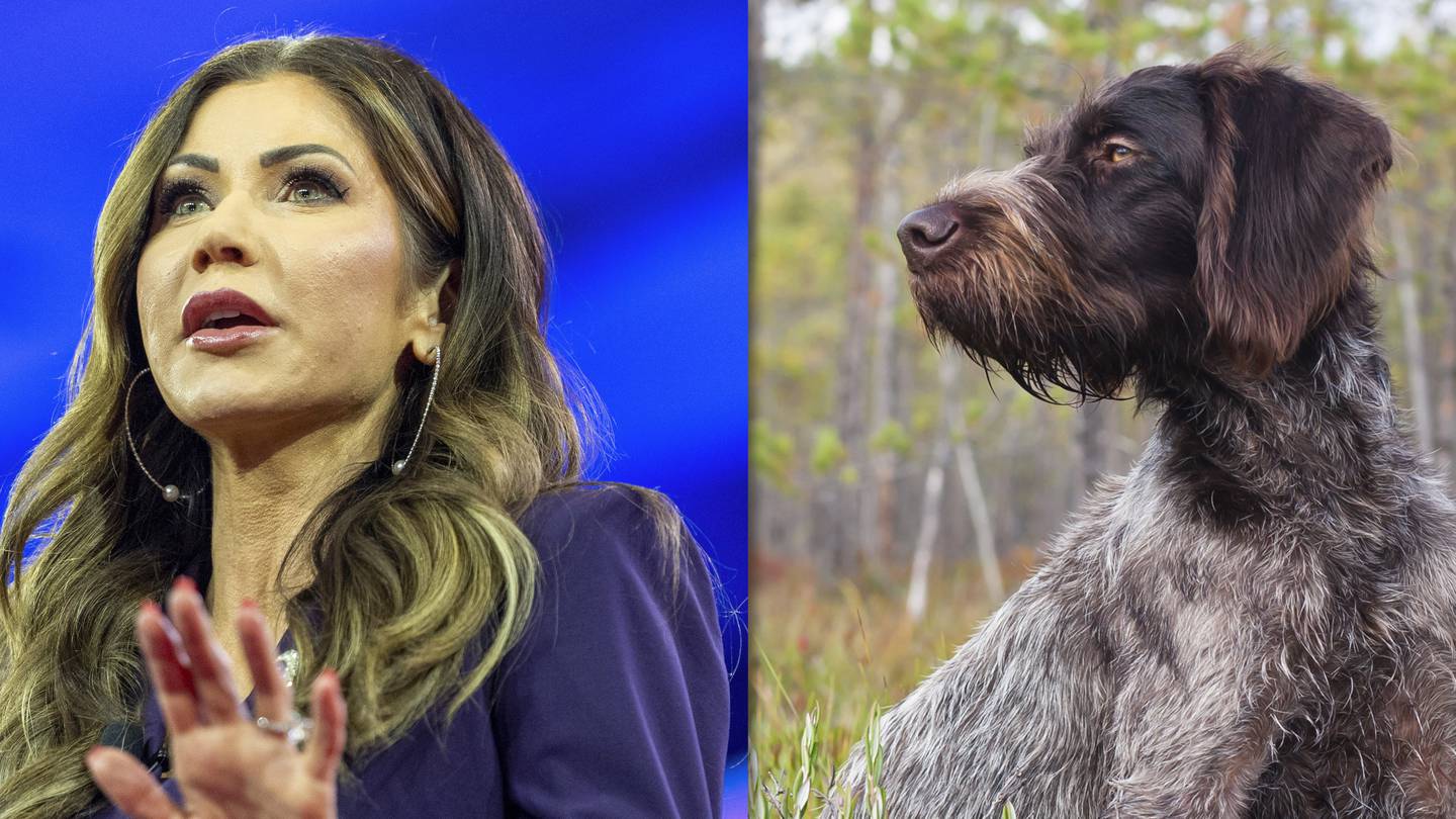 Was it legal for Kristi Noem to shoot her puppy  and what else could she have done?  WPXI [Video]