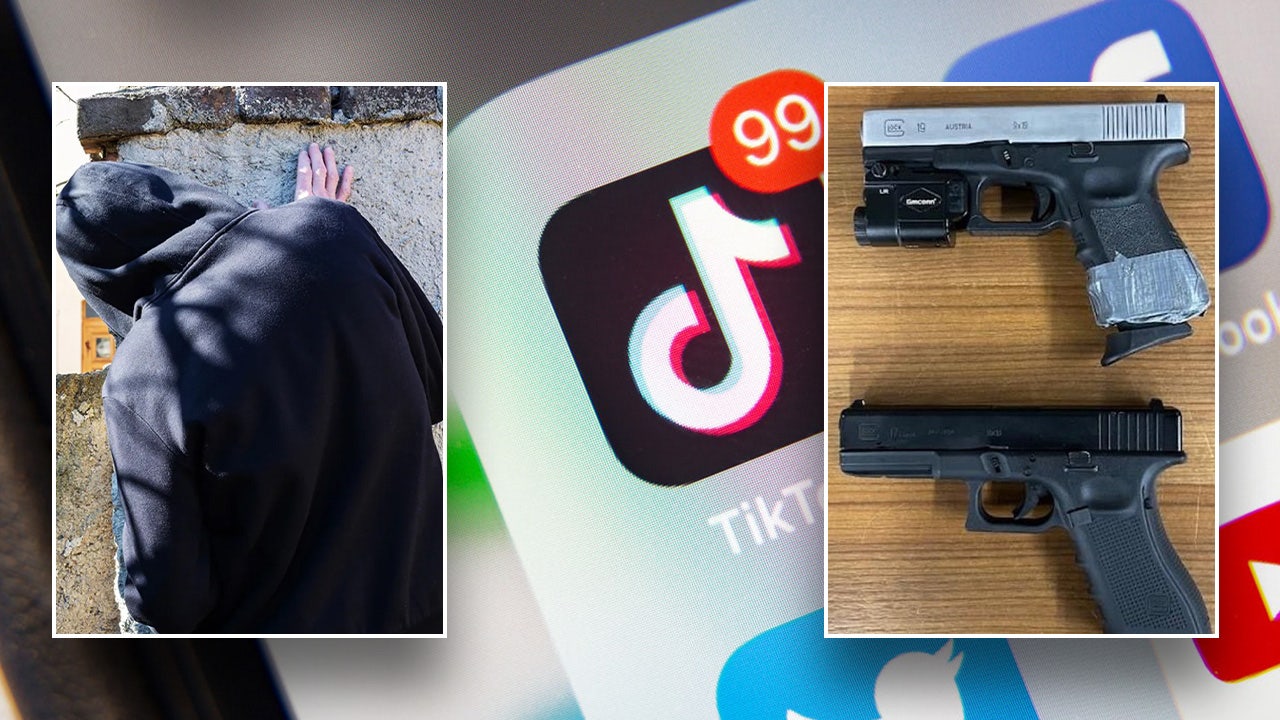 Trending ‘Assassin’ TikTok game ‘could get someone hurt or killed’, police say [Video]