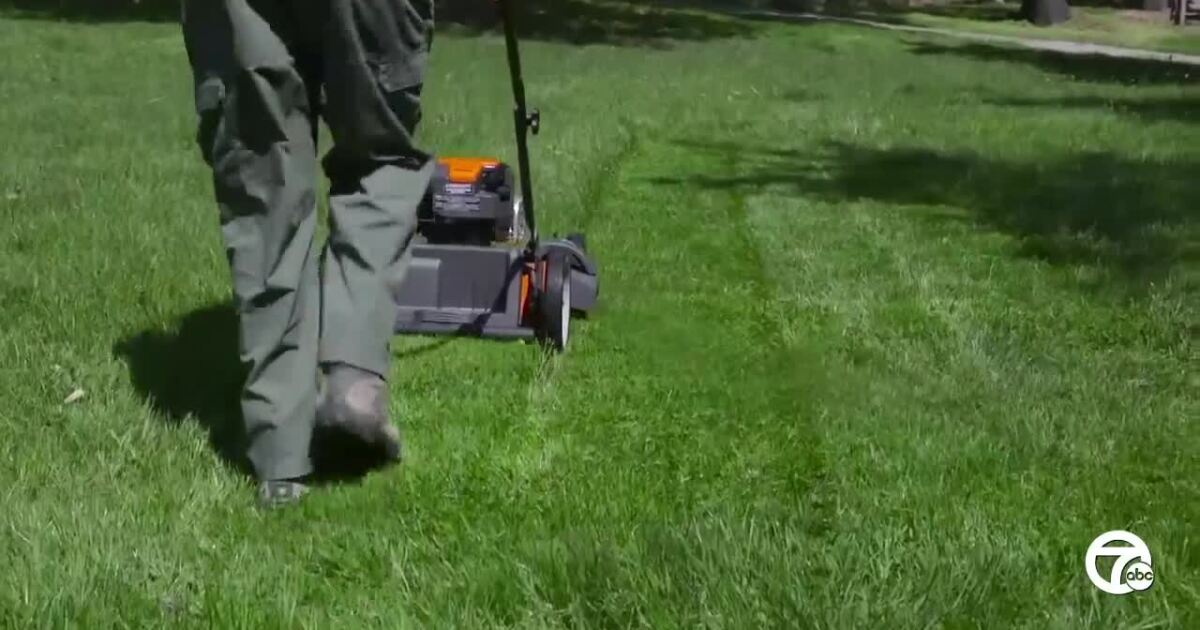 ‘No Mow May’ begins in Royal Oak starting Wednesday [Video]