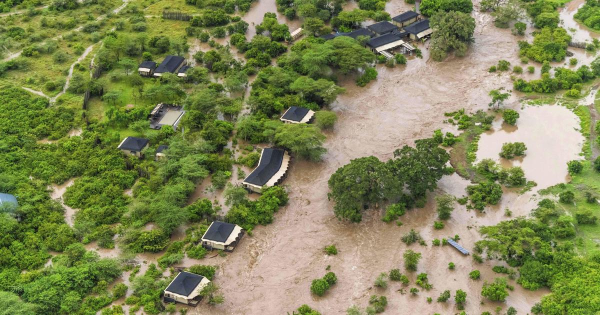 Kenya floods hit Massai Mara game reserve, trapping tourists who climbed trees to await rescue by helicopter [Video]