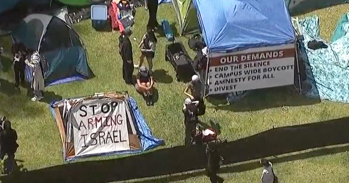 UCSD students establish pro-Palestine encampment on campus [Video]