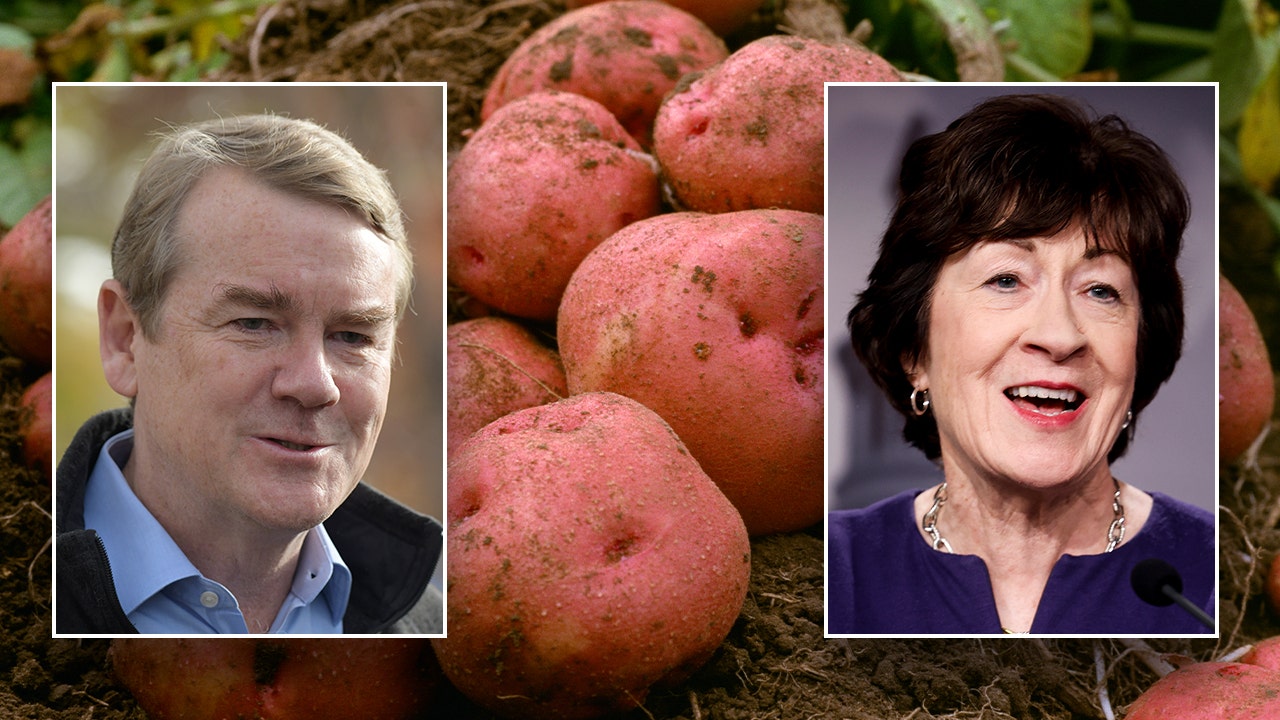 Potatoes retain USDA classification as vegetable, not grain [Video]