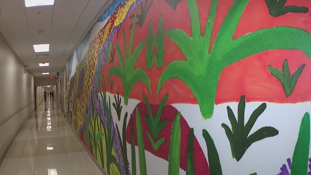 Mural graces Phoenix Children’s bare walls [Video]