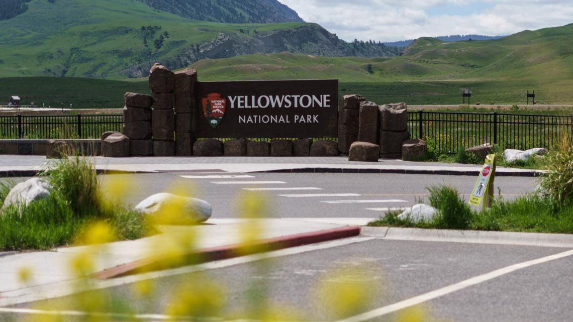 Yellowstone tourist kicks bison before it injures him [Video]