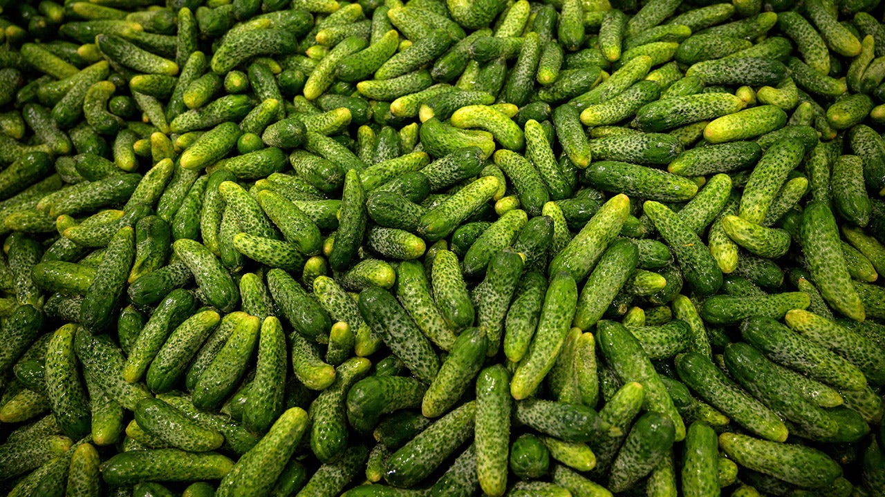 US pickle shortage tied to extreme weather in Mexico [Video]