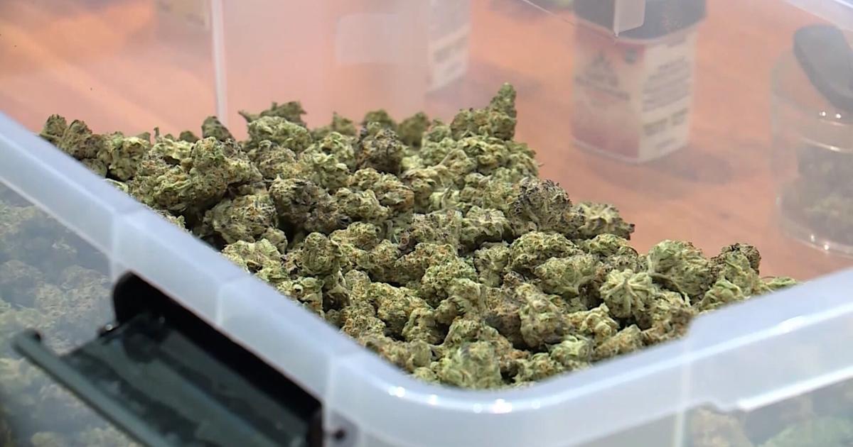 Missouri local sales taxes on marijuana allowed to stack | State News [Video]
