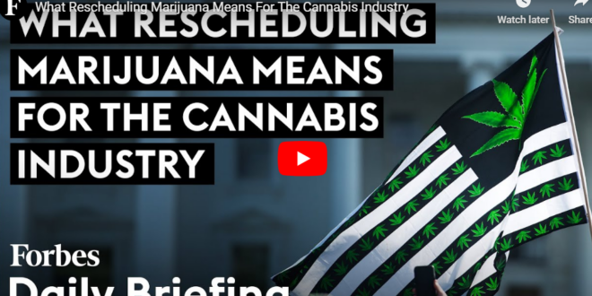 What Rescheduling Marijuana Means For The Cannabis Industry [Video]