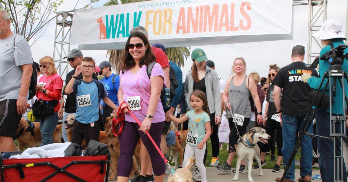 Walk for Animals takes over Liberty Station [Video]