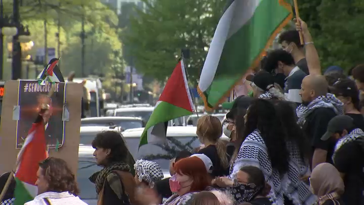 Dozens arrested at pro-Palestinian demonstration on Art Institute of Chicago campus  NBC Chicago [Video]