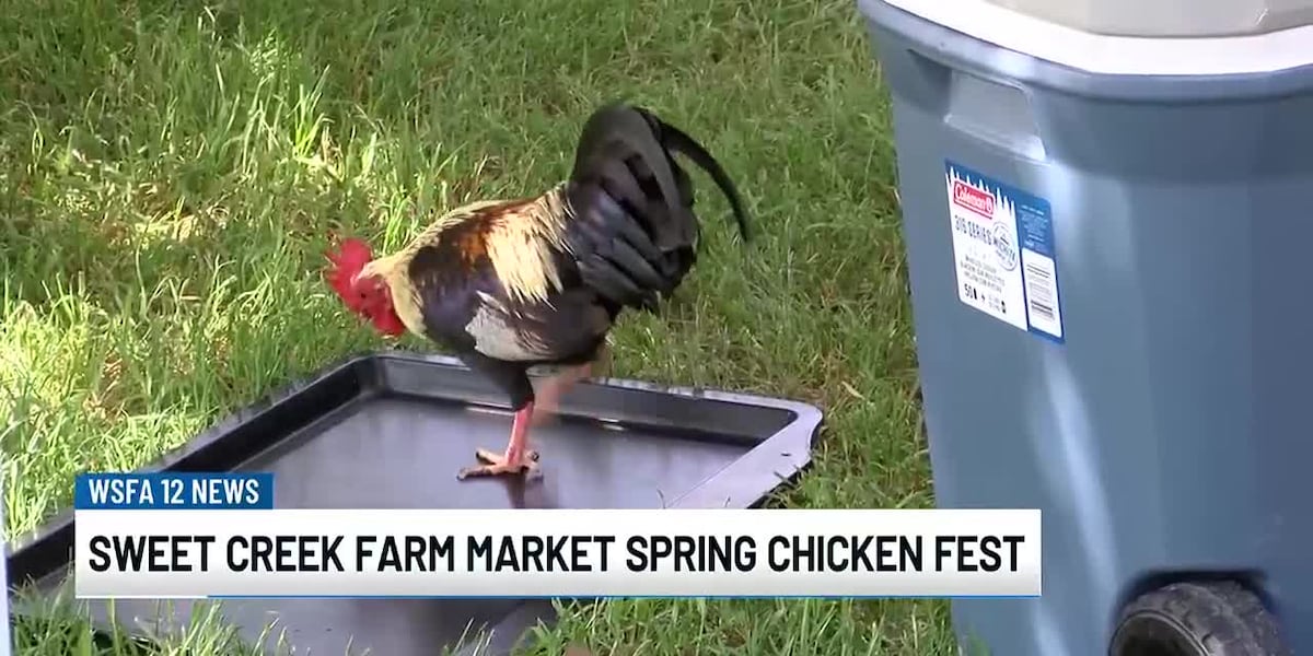 SweetCreek Farm Market hosts Spring Chicken Fest [Video]