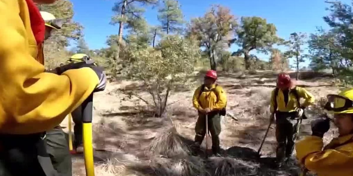 Arizona high schoolers learn how to fight wildfires [Video]
