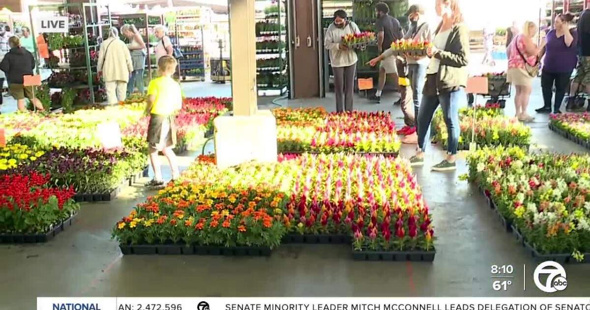Tuesday Flower Markets begin in Eastern Market ahead of Flower Day on May 19 [Video]